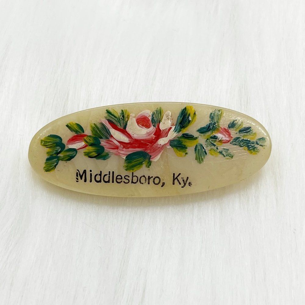 🔮 5/$25 Vintage‎ Hand Painted Flowers Middlesboro Kentucky Pin